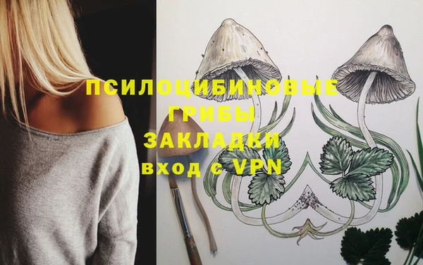 гидропоника Армянск