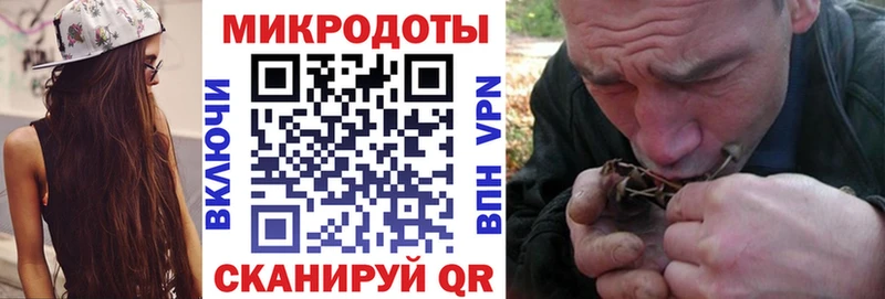 купить закладку  Сухой Лог  Галлюциногенные грибы Cubensis 